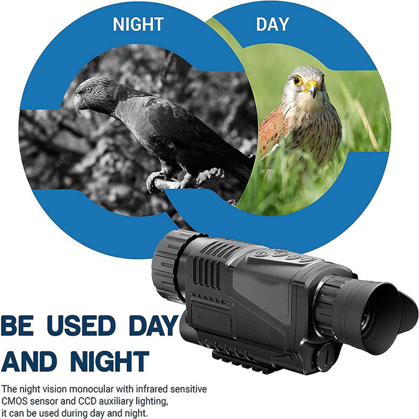 Low Light Night Vision Hunting – обзор и цена Outdoor Adventure Videos