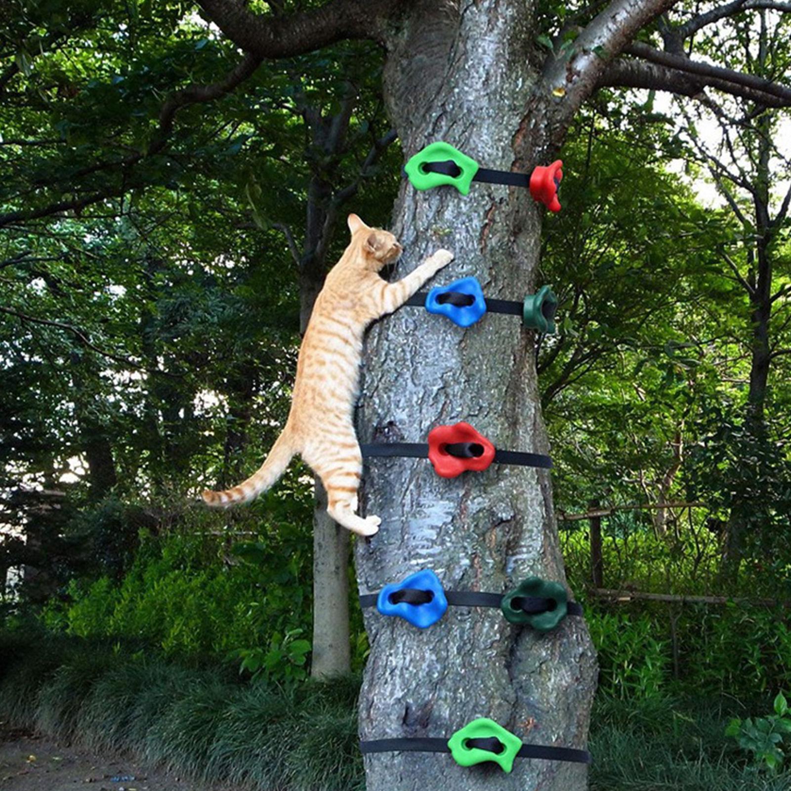 Outdoor Climbing Toys Adjustab – обзор и цена Outdoor Adventure Course